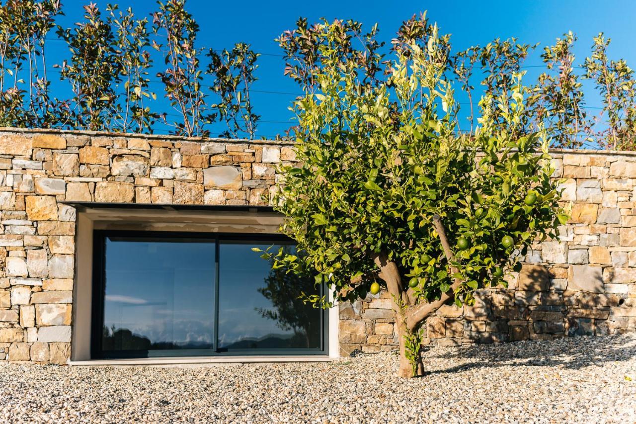Villa Sabrina Riviera Dei Fiori A Picco Sul Mare Con Piscina Privata ,Wellness & Spa Imperia Exterior foto
